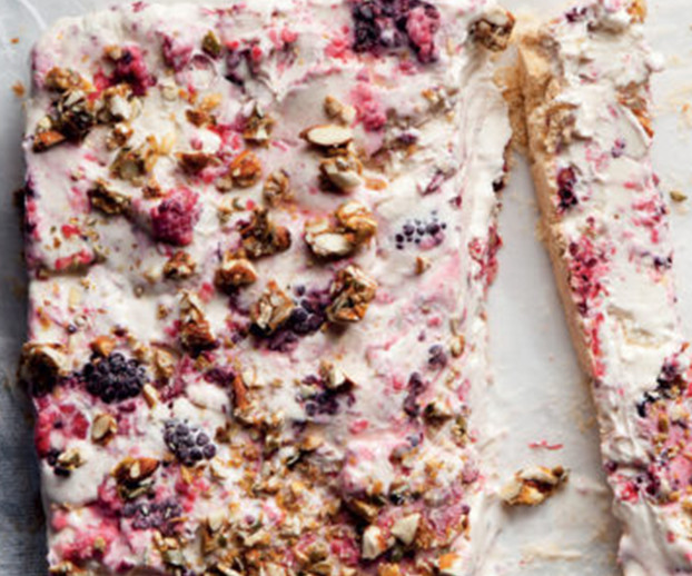 Easy yoghurt and berry ice cream tart