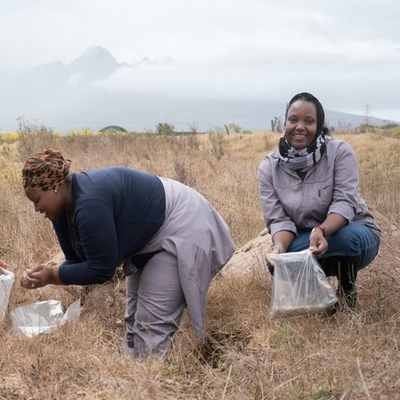 WOOLWORTHS, SUSTAINABILTY INSTITUTE AND SPIER LAUNCH COMMUNITY LEARNING FARM