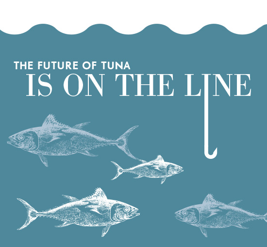 future of tuna