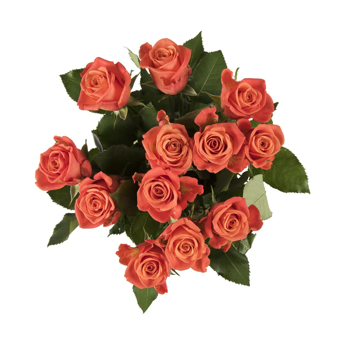 Woolworths flowers prices hotsell