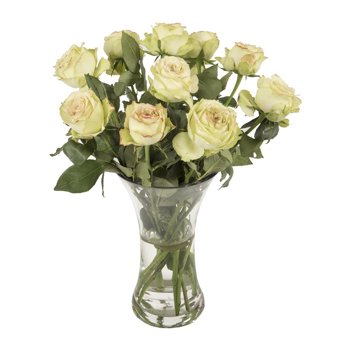 Hypnose Rose