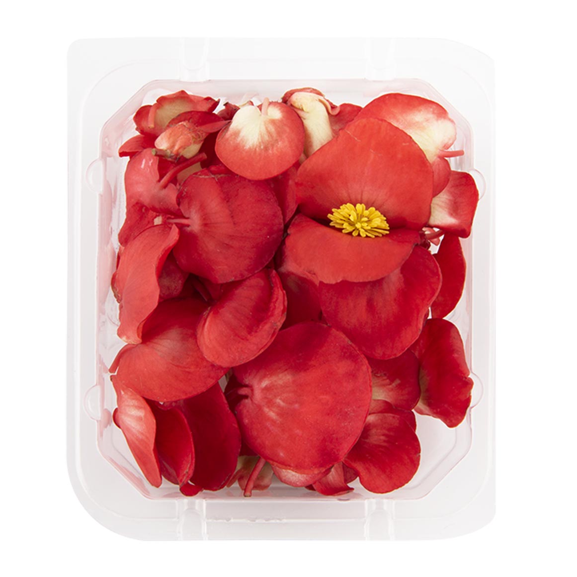 Fresh Edible Flowers Woolworths / Gy5xfra3xxw60m Edible flowers aren