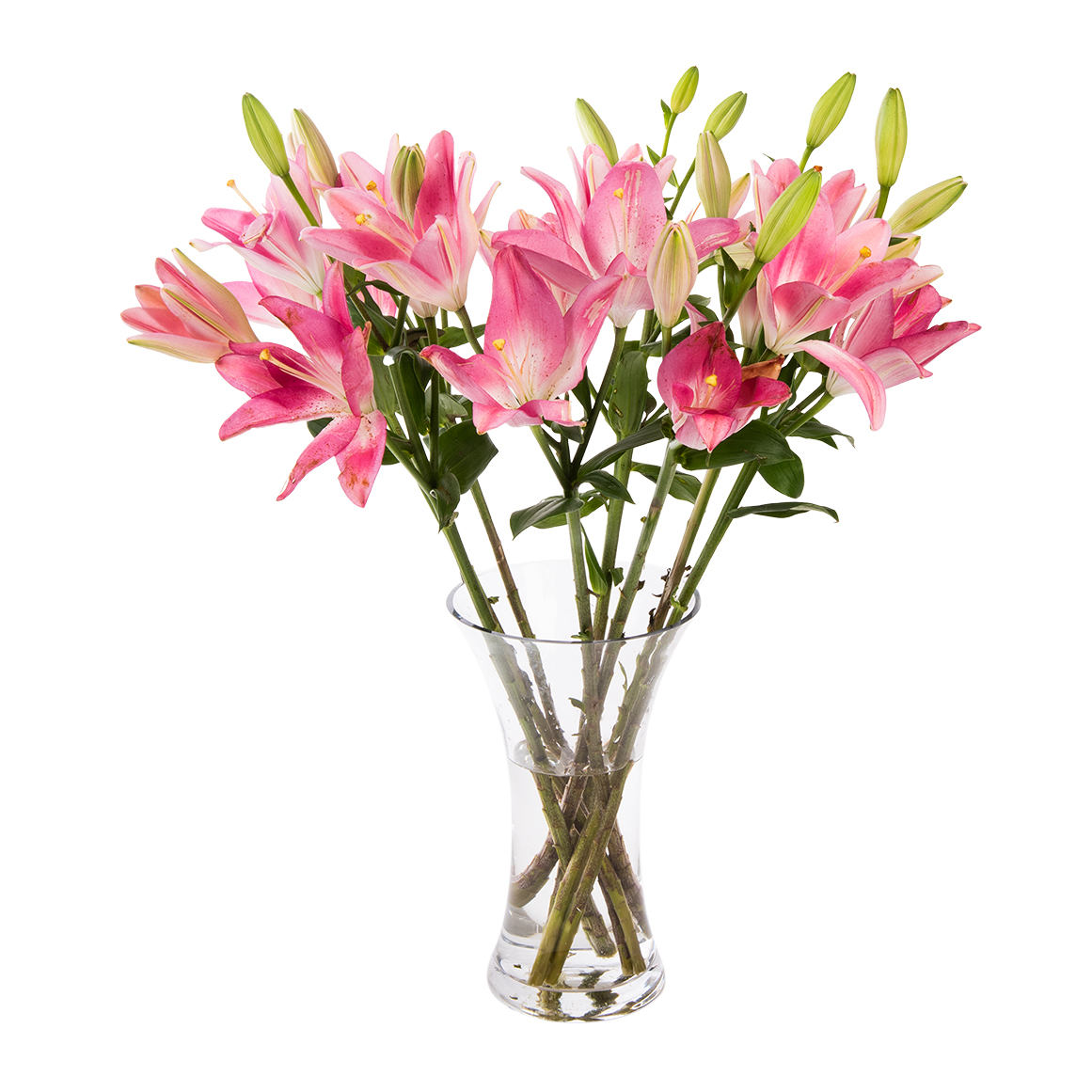 Bulk Asiatic Lilies | Woolworths.co.za