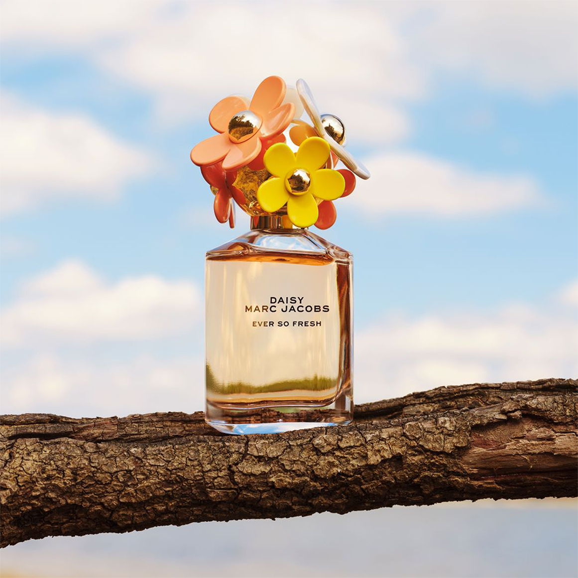 Daisy Ever So Fresh Eau de Parfum for Women | Woolworths.co.za