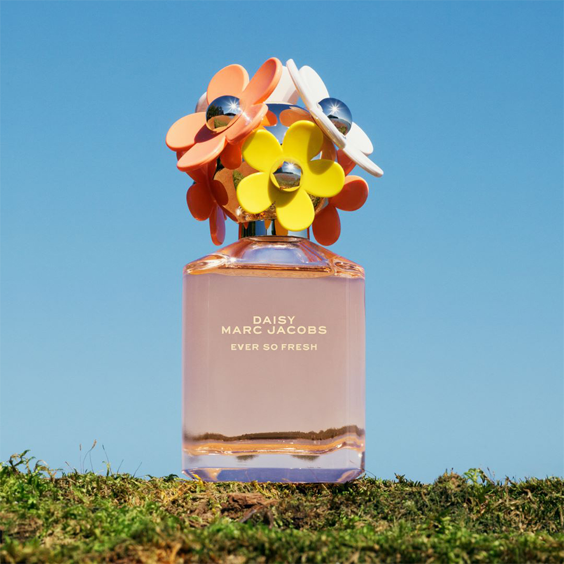 Daisy Ever So Fresh Eau de Parfum for Women | Woolworths.co.za