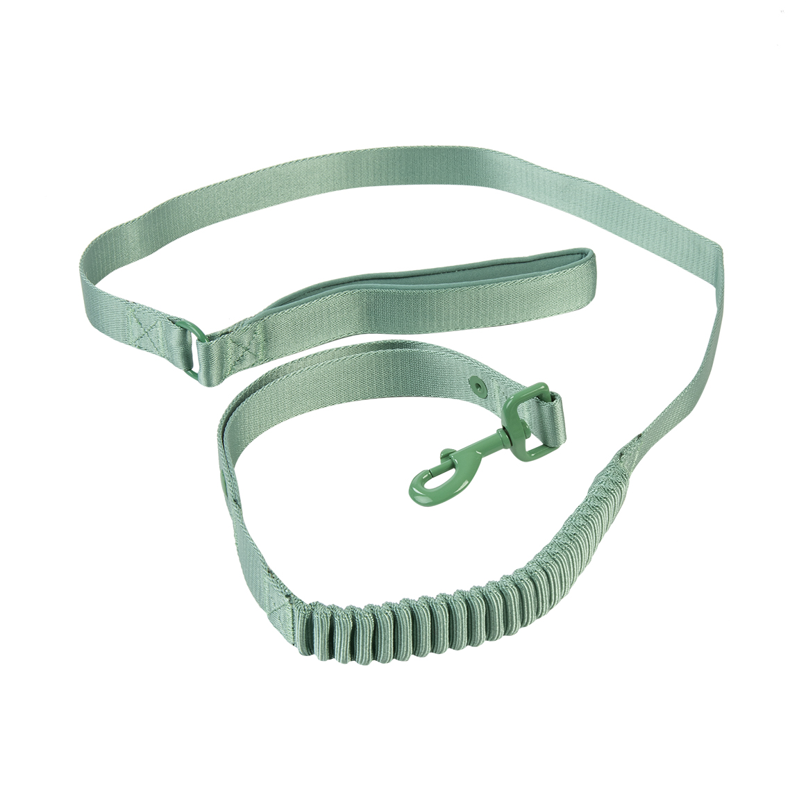 Pup Crew Green Bungee Dog Leash One Size | Woolworths.co.za
