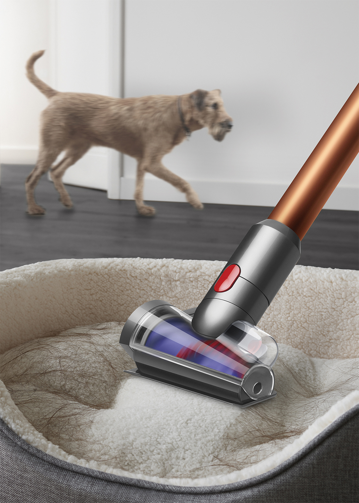 V10™ Absolute Cordless Vacuum | Woolworths.co.za