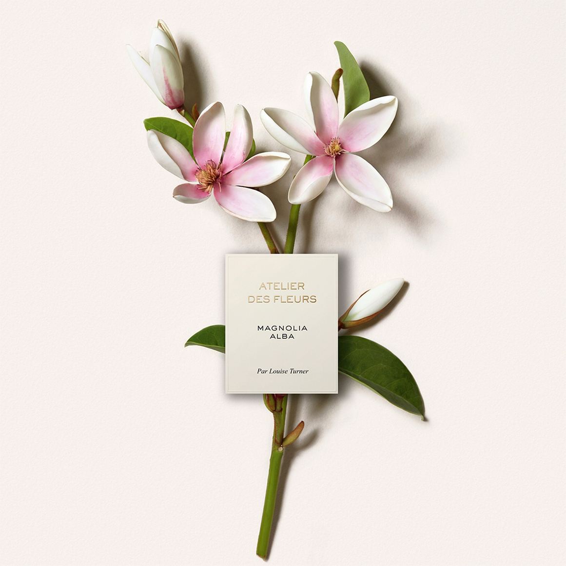 Atelier des Fleurs Magnolia Alba Eau de Parfum for Women