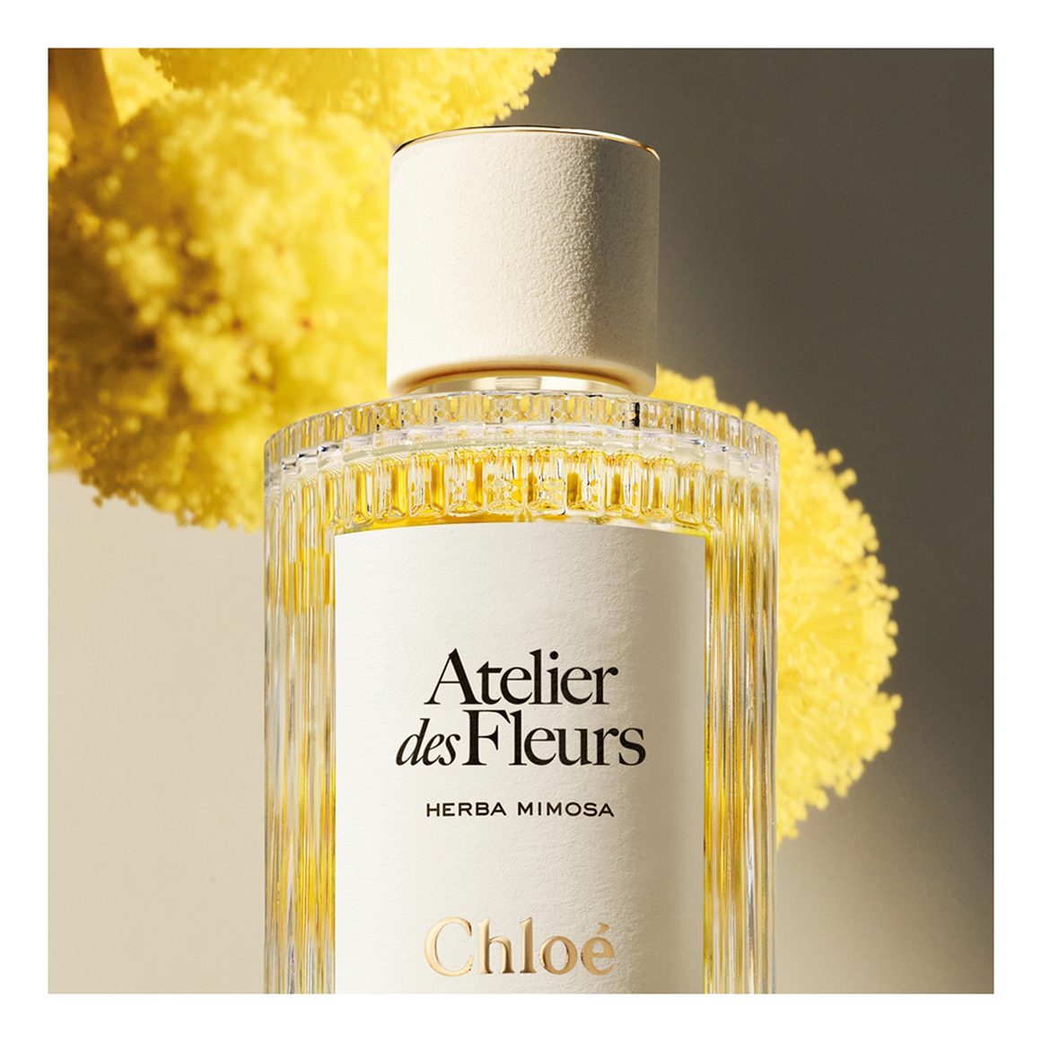 Atelier des Fleurs Herba Mimosa Eau de Parfum for Women