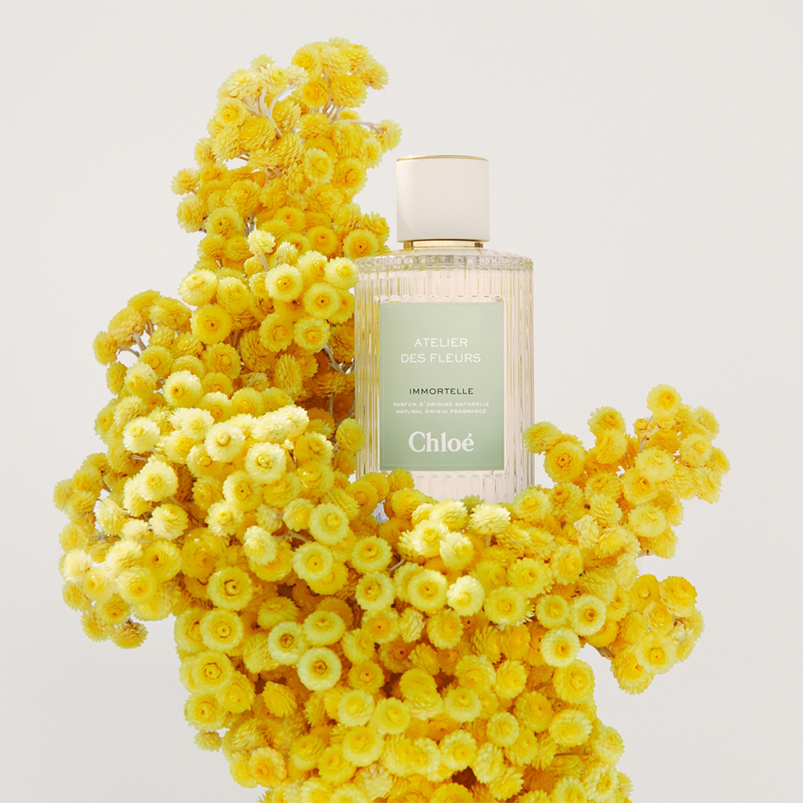 Atelier des Fleurs Immortelle Eau de Parfum for Women | Woolworths