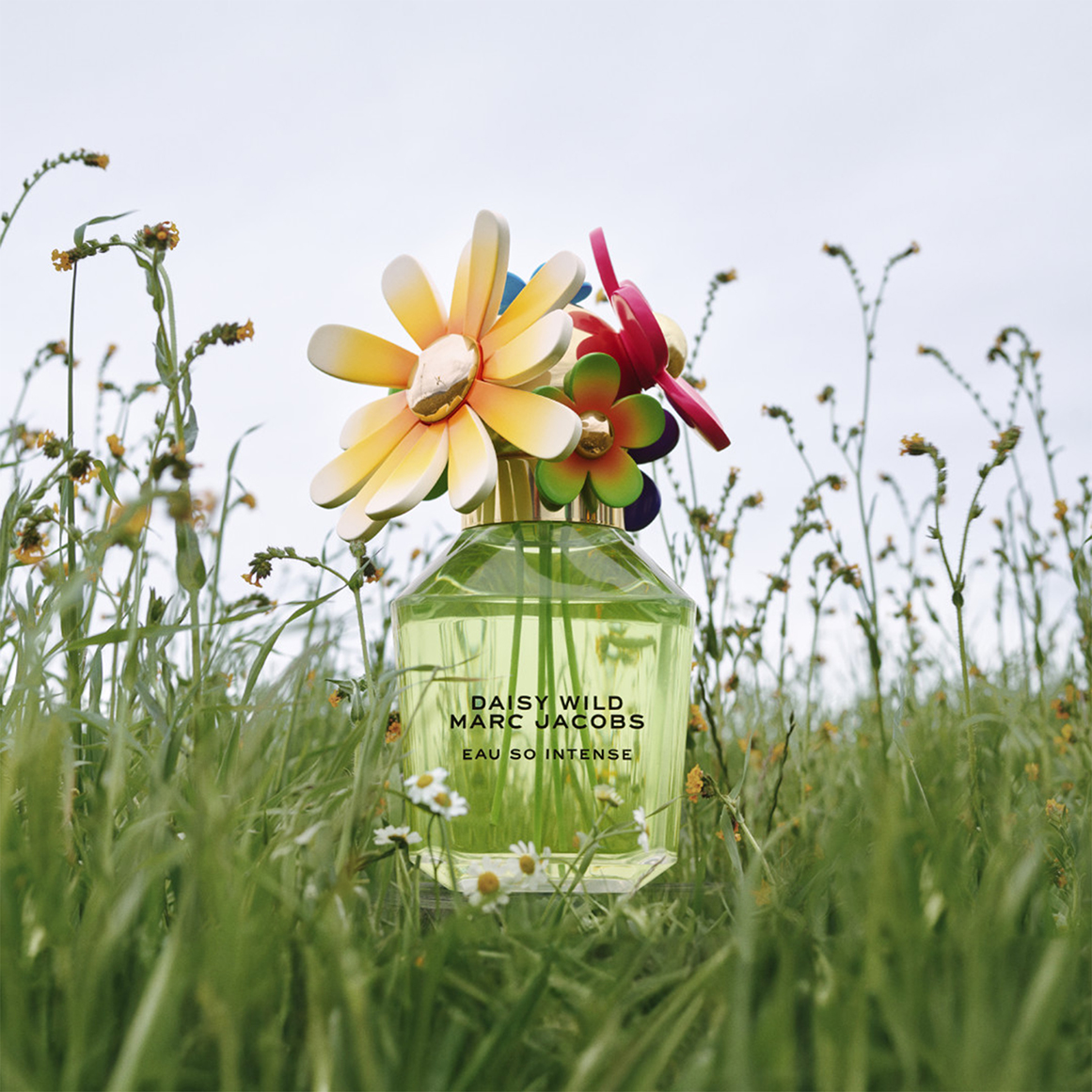 Daisy Wild Eau So Eau de Parfum Intense | Woolworths.co.za
