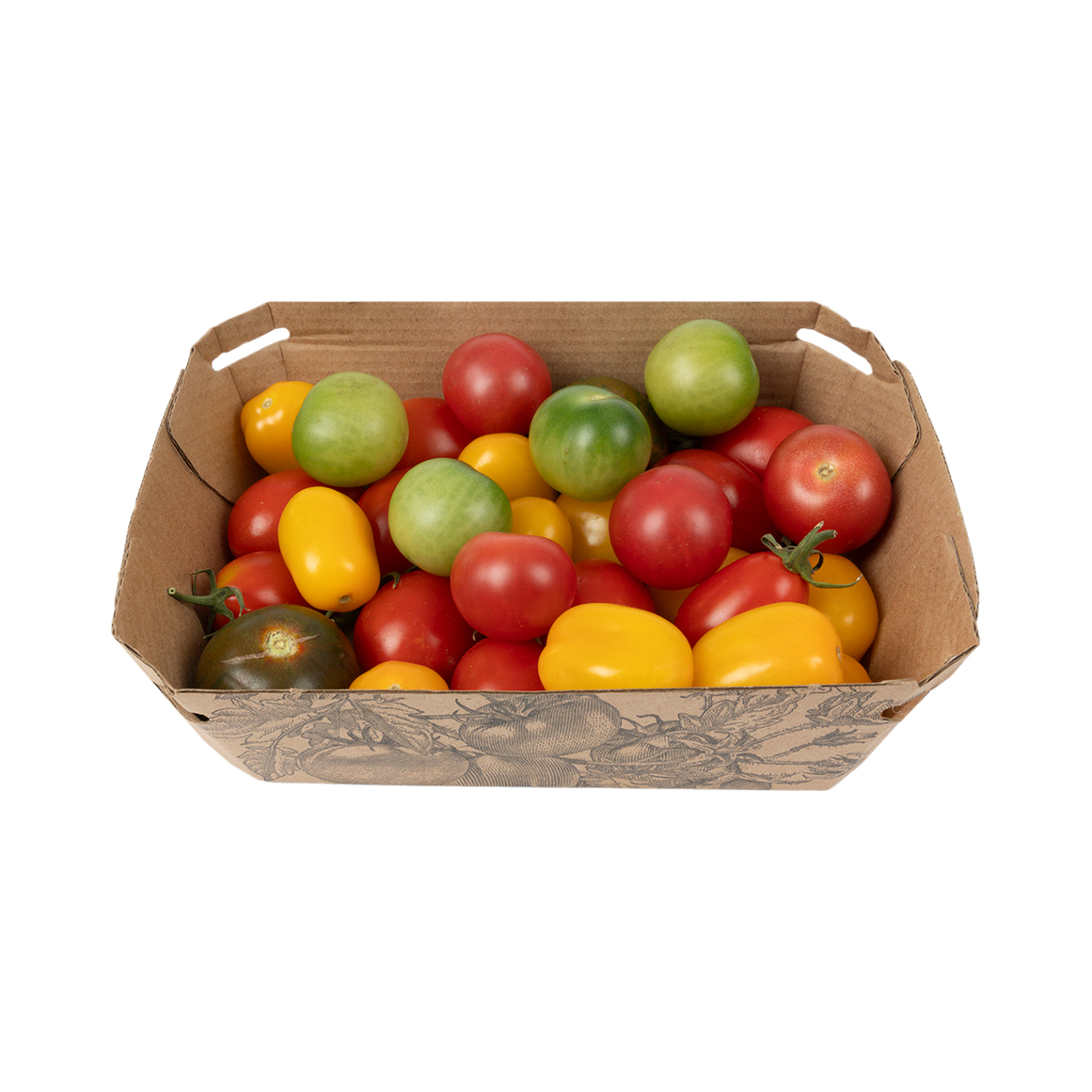 tomato ZZ2 JAM TOMATOES 6KG