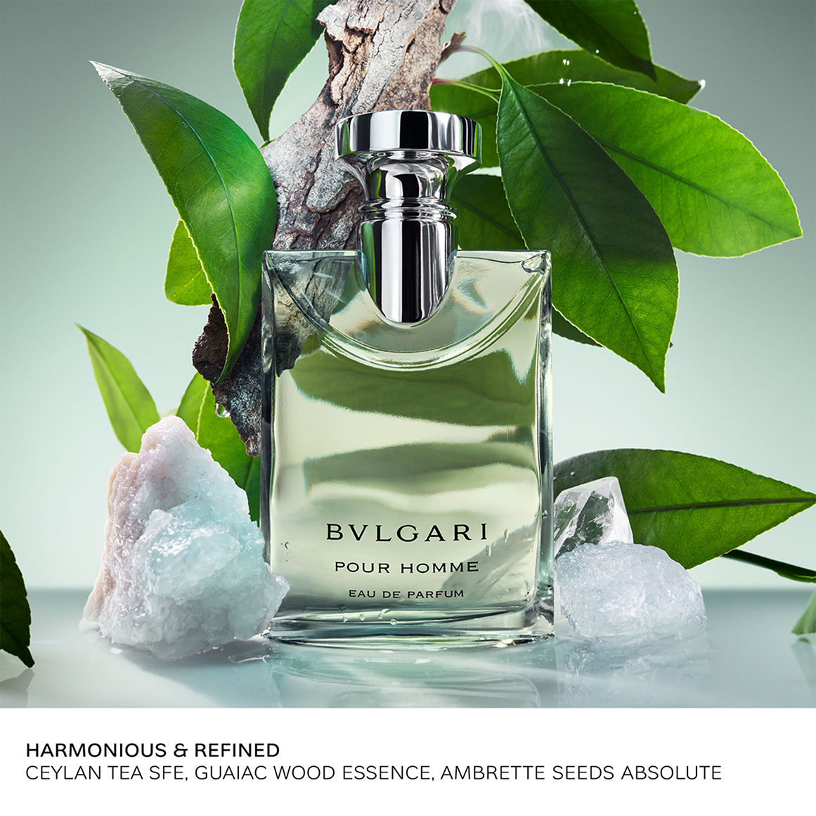 Pour Homme Eau de Parfum | Woolworths.co.za