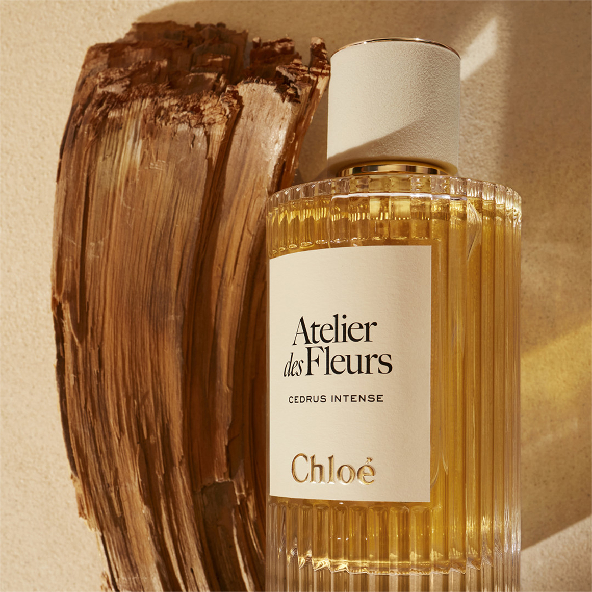 CHL Atelier des Fleurs Cedrus Intense Eau de Parfum | Woolworths.co.za