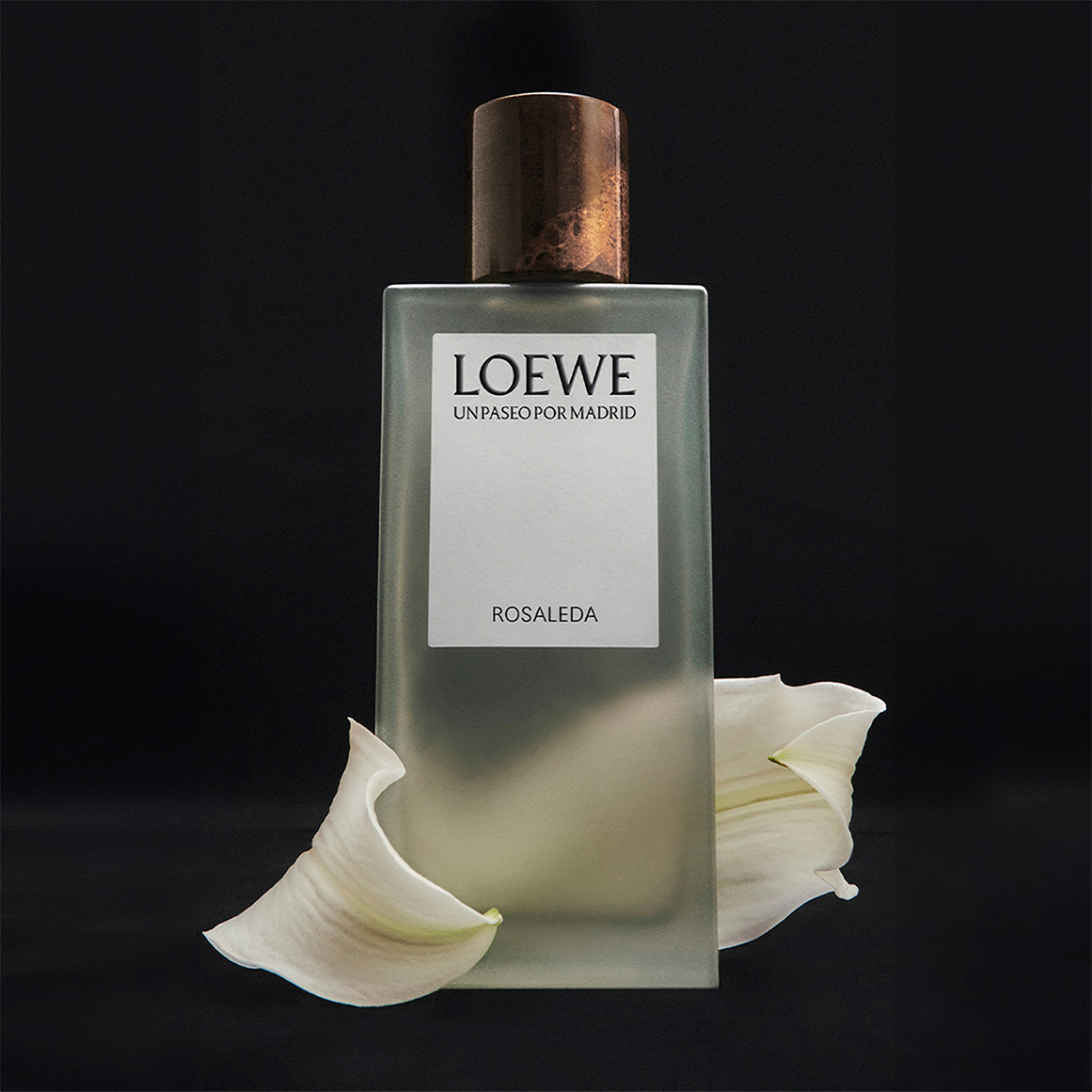 Un Paseo Por Madrid 'Rosaleda' Eau de Parfum | Woolworths.co.za