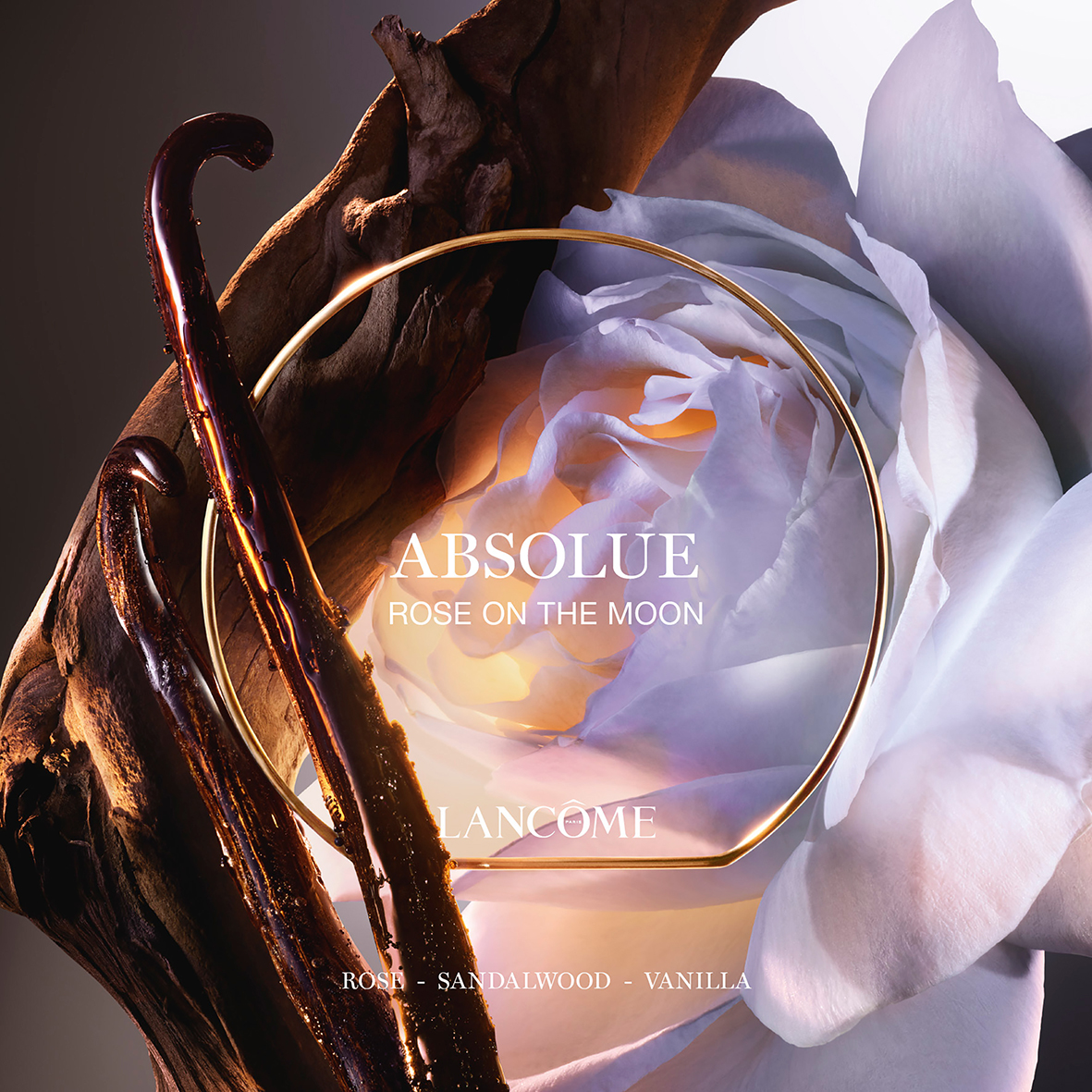 Absolue Les Parfum Rose on the Moon Eau de Parfum | Woolworths.co.za