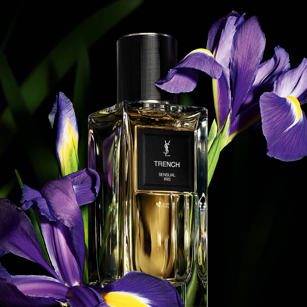 Trench Sensual Iris Eau de Parfum | Woolworths.co.za