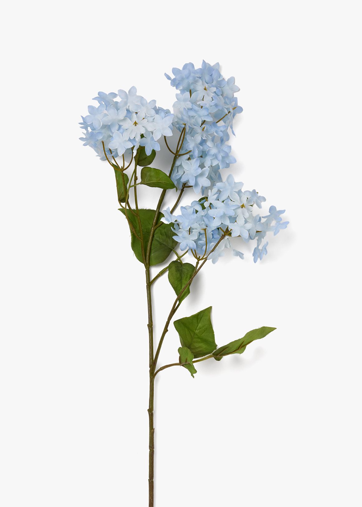 St. Flower Hydrangea | Woolworths.co.za