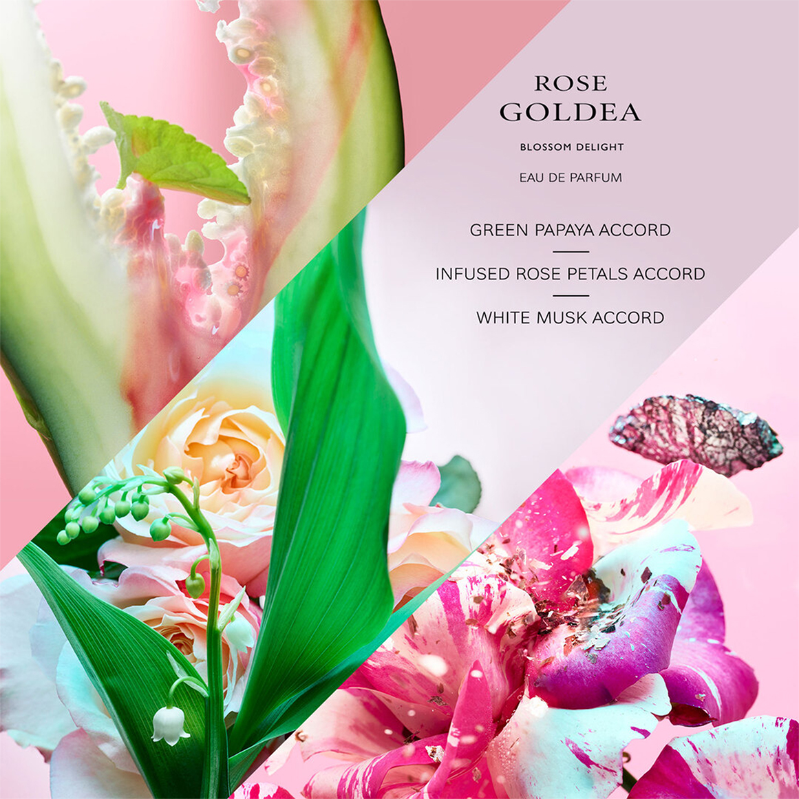 Rose Goldea Blossom Delight Eau de Parfum | Woolworths.co.za