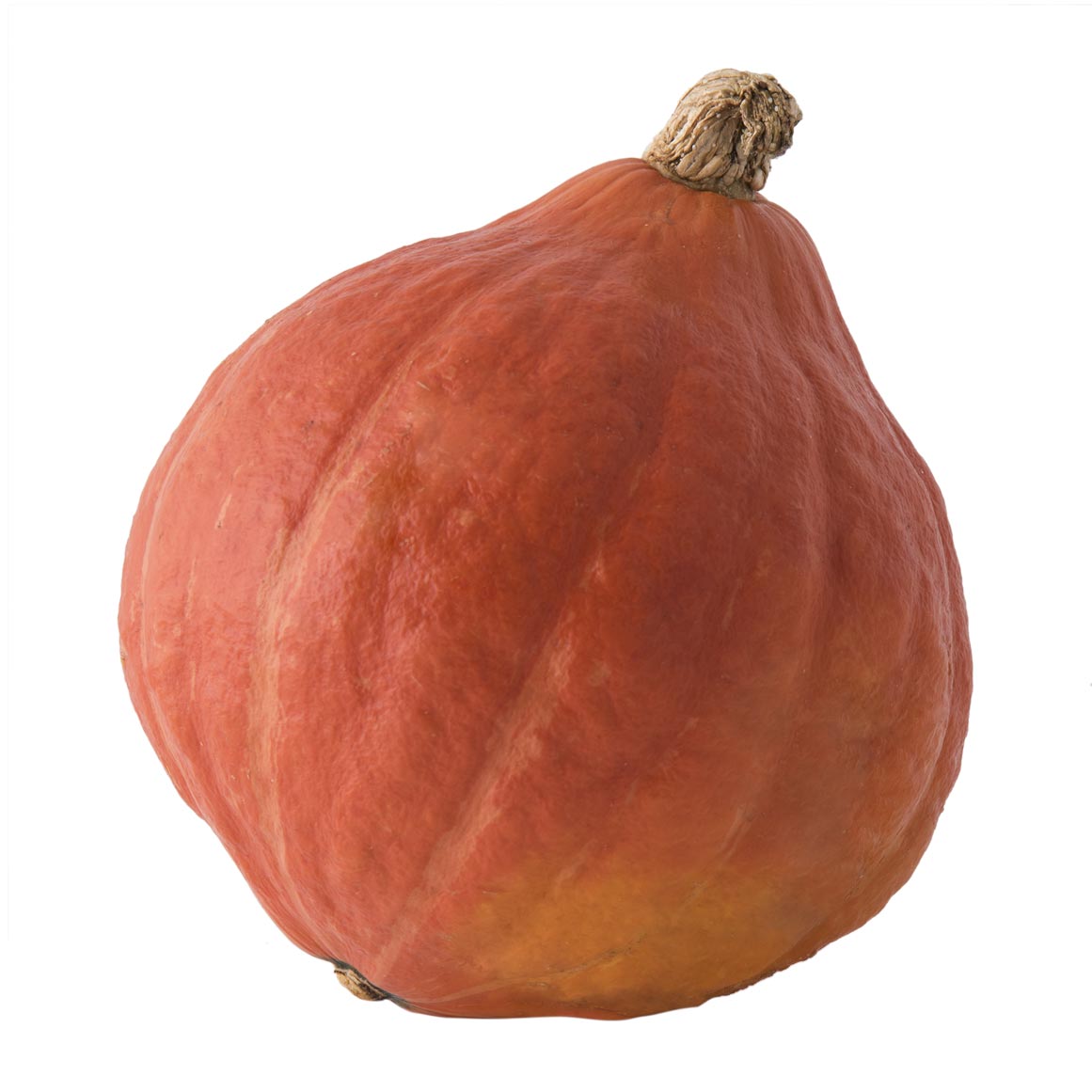 Small Kuri Pumpkin | Woolworths.co.za