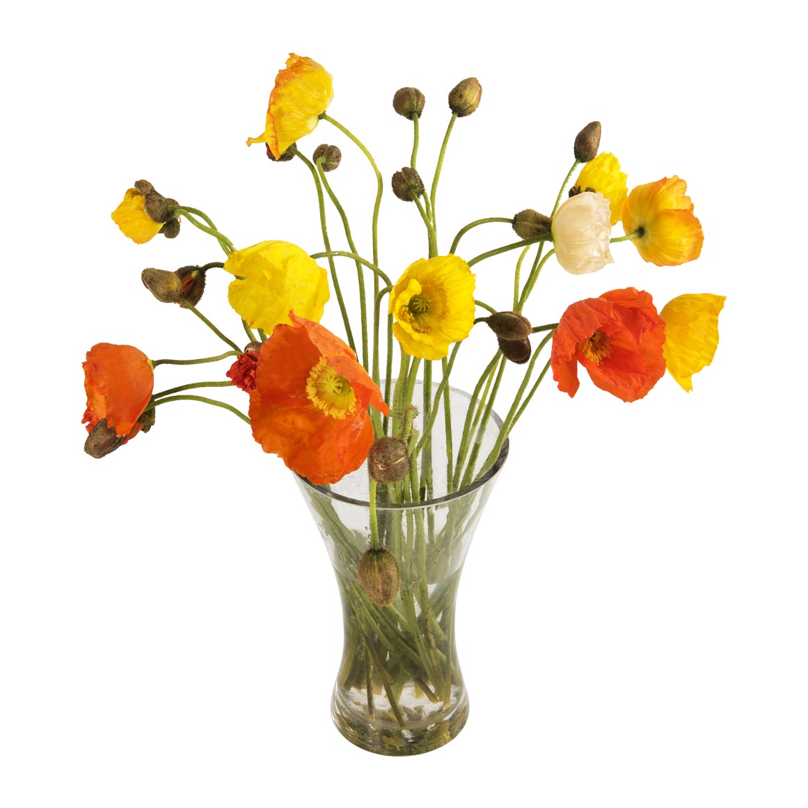 Poppies | Woolworths.co.za