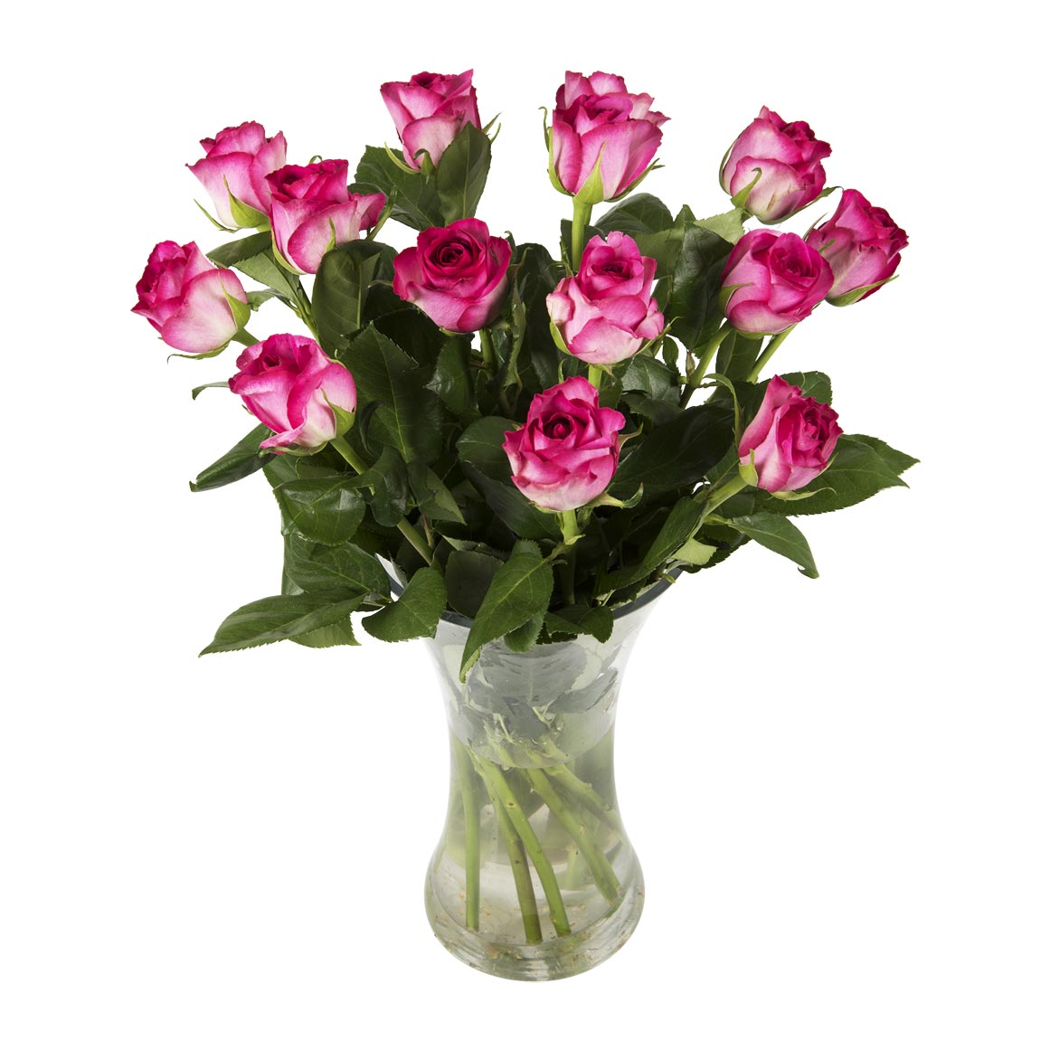 Staffordshire チャイニーズローズプレート 25cm2枚セット Cerise Roses 50cm 14 Stems | Woolworths.co.za