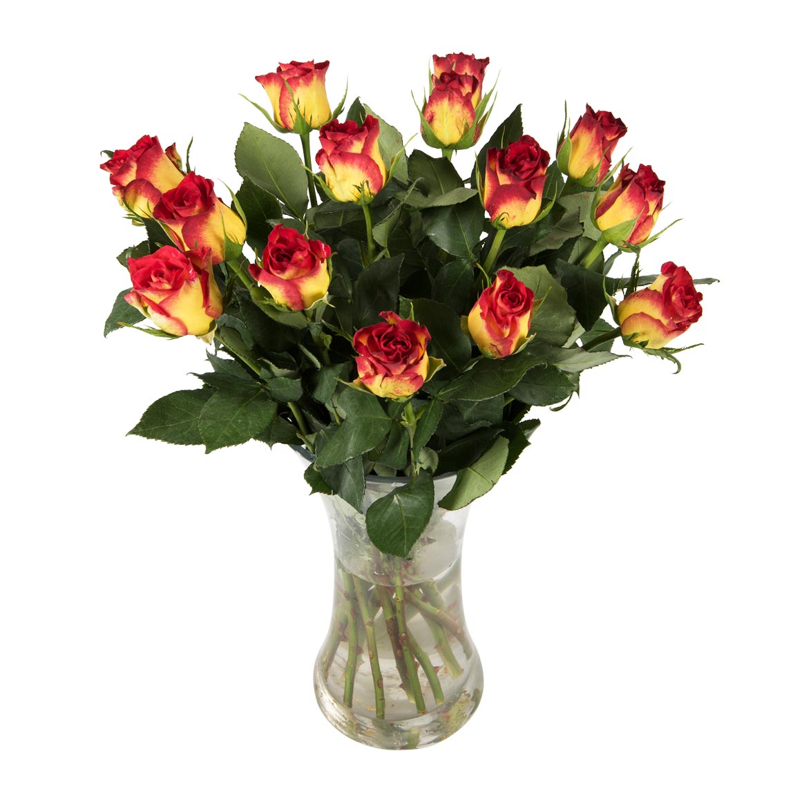 Two Tone Roses 40cm 14 Stems | Woolworths.co.za