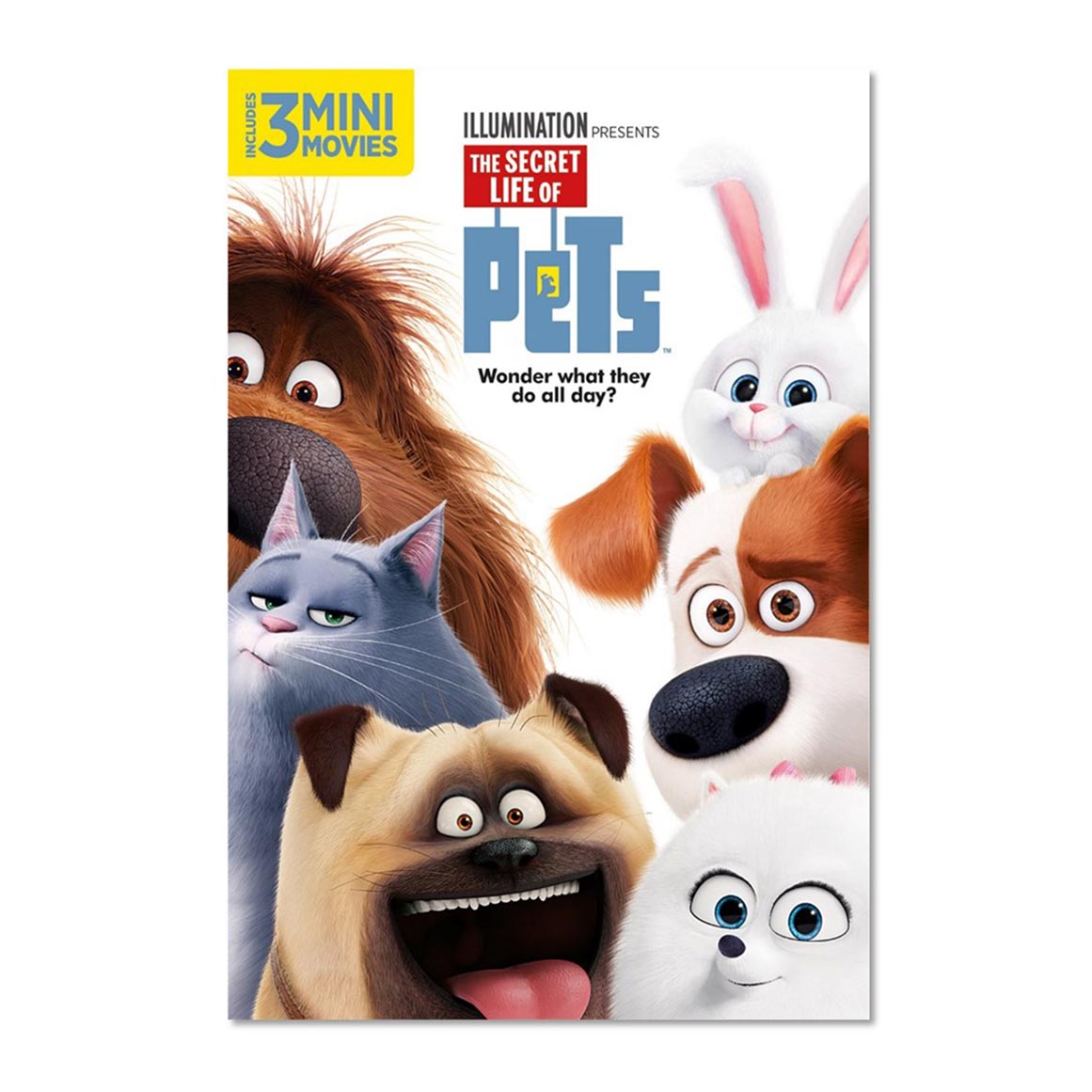 The Secret Life of Pets DVD | Woolworths.co.za