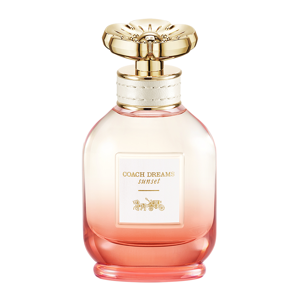 Alhudapk Com Top Female Perfumes 2021 Alhudapk Com Coach Dreams