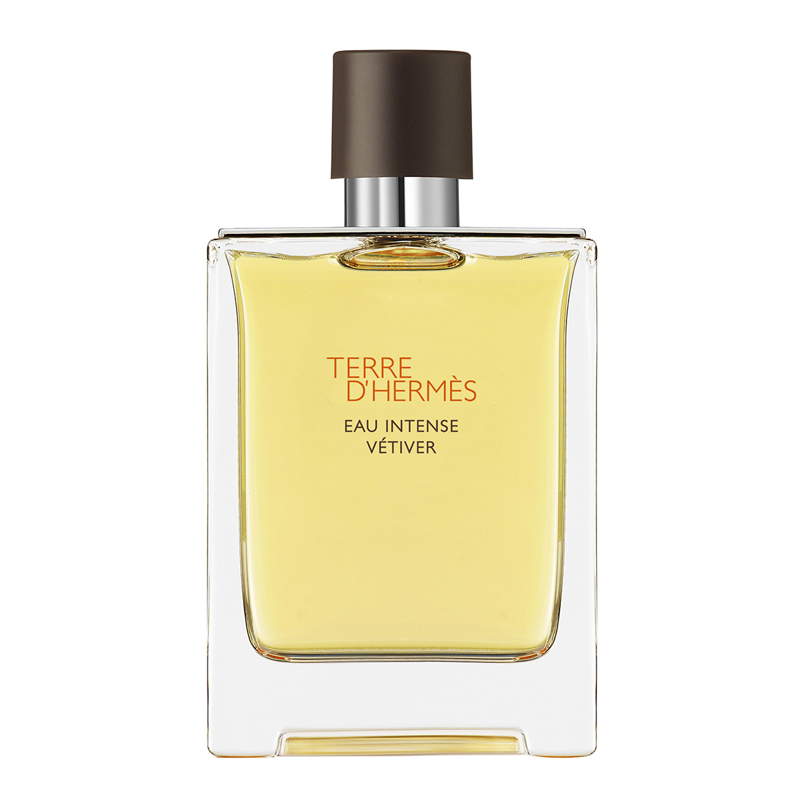 TERRE D'HERMÈS Eau de Parfum Intense Terre d'Hermes Eau Intense Vetiver Eau de parfum - 50 ml