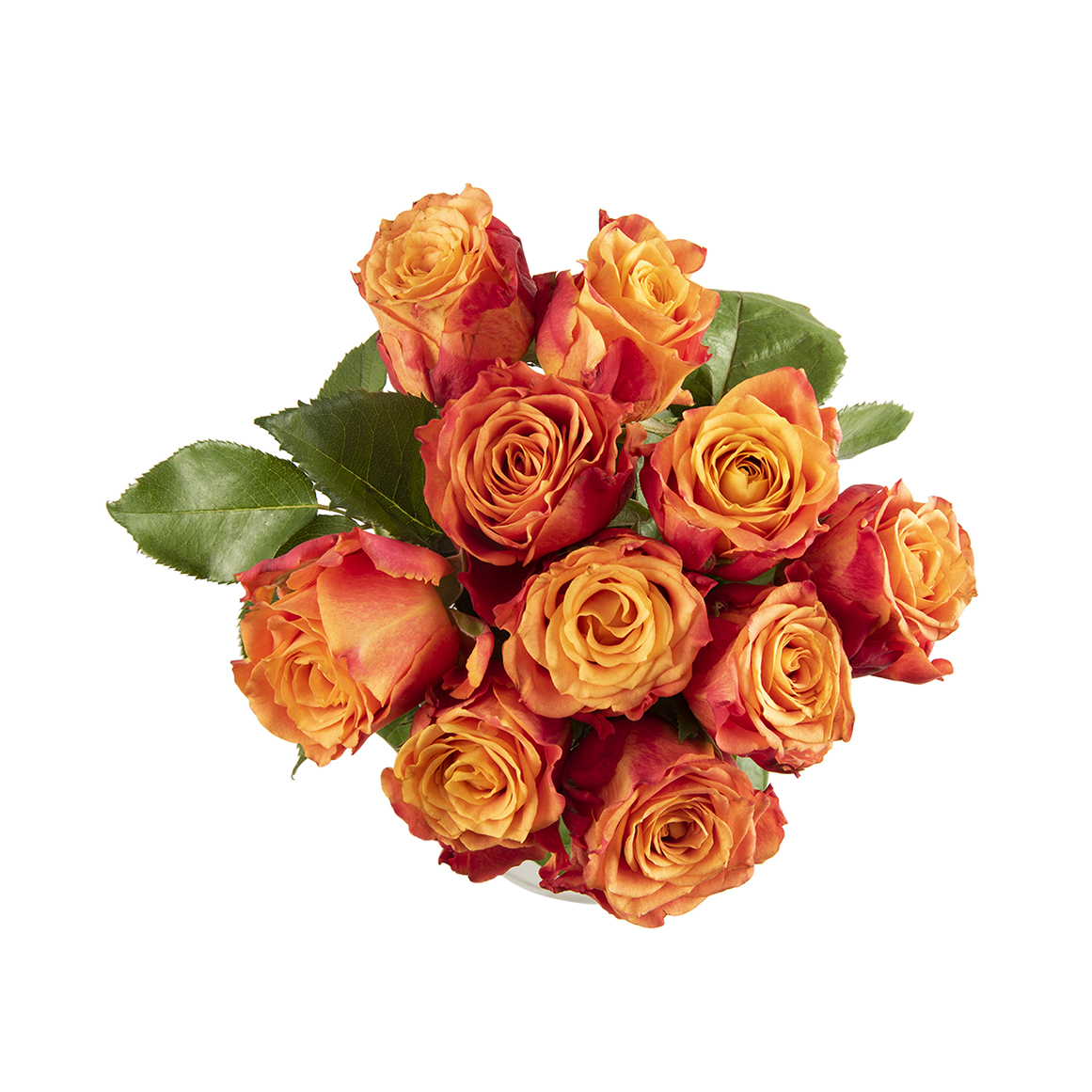 Citrus Basket Speciality Roses | Woolworths.co.za