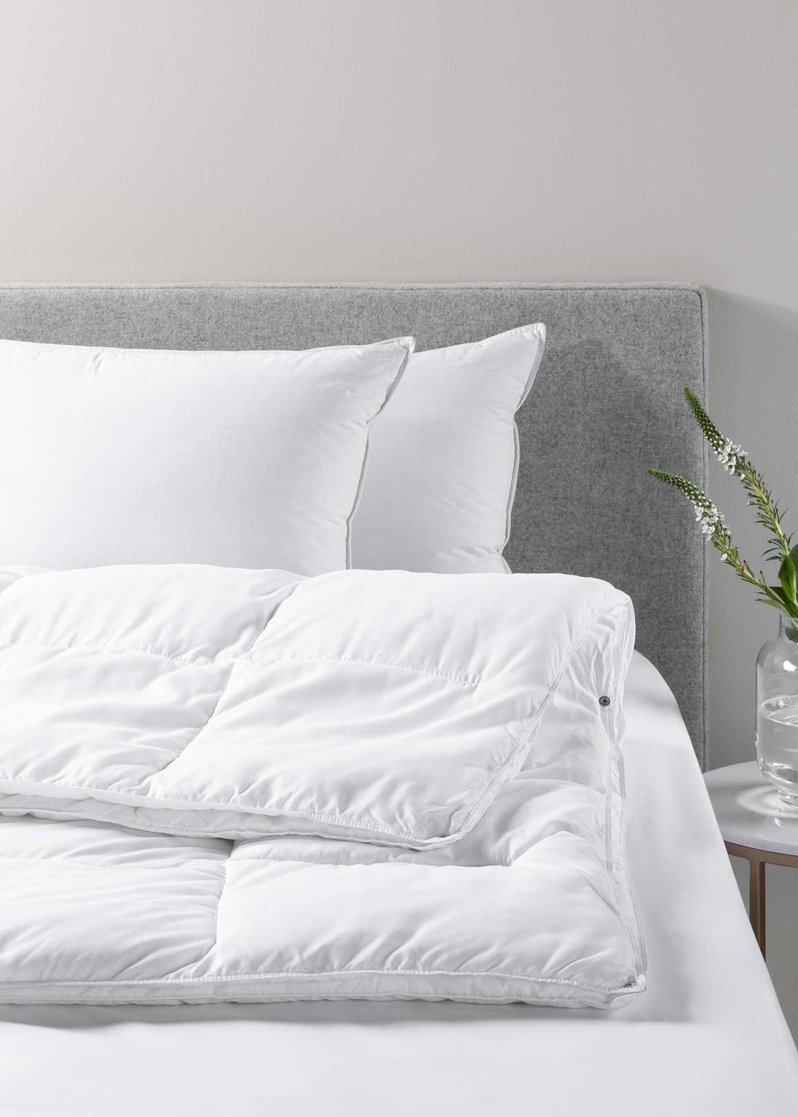 Woolworths pillow best sale protectors