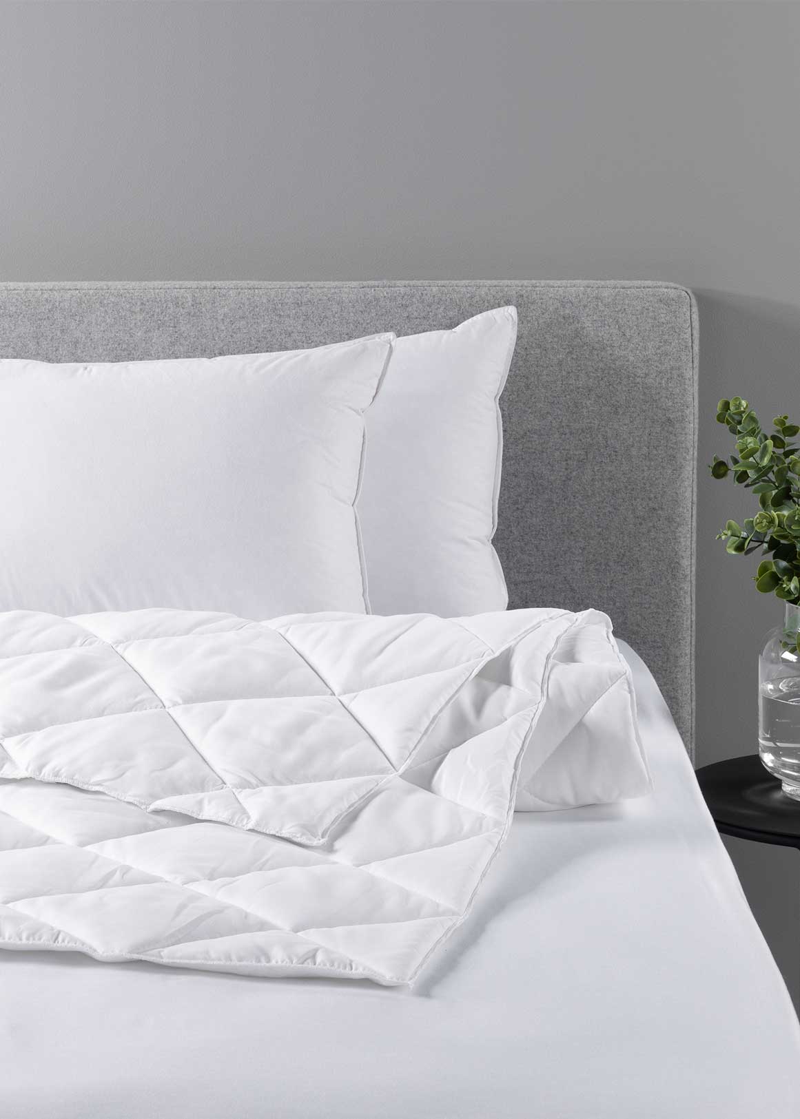 Woolworths pillow best sale protectors
