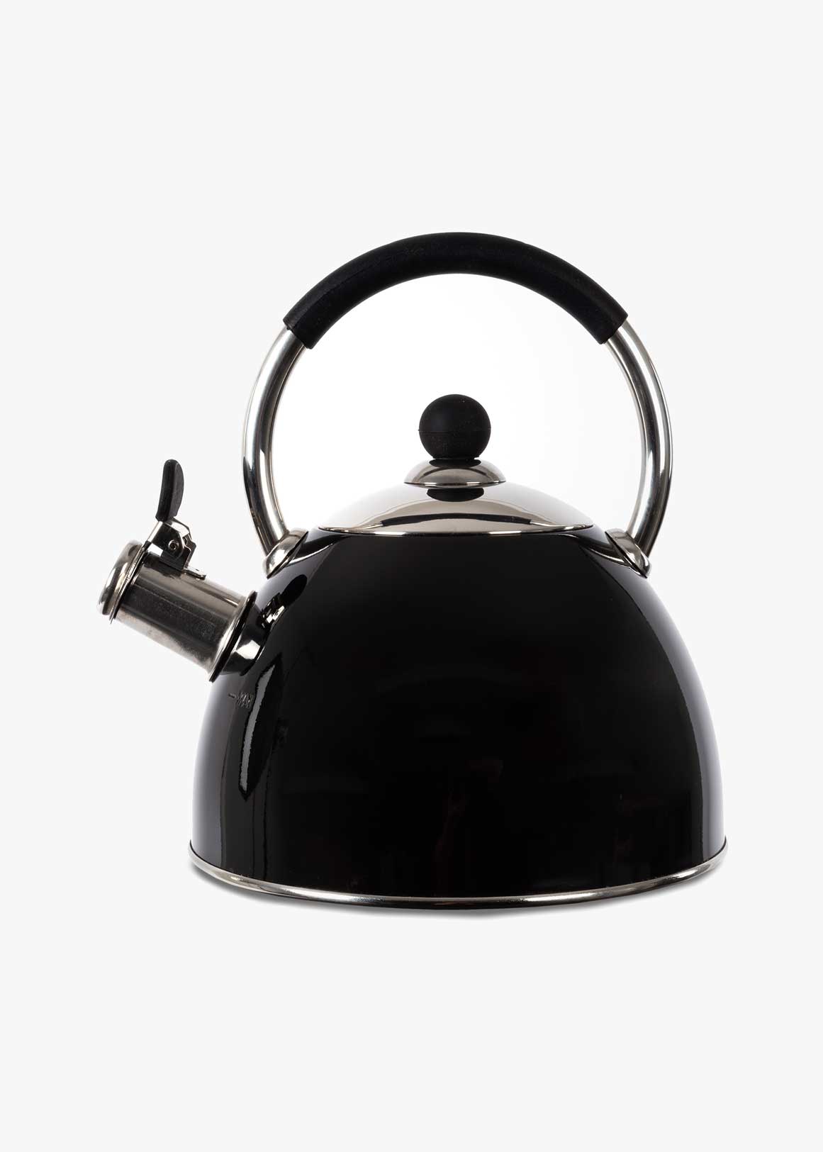 Tea kettle for gas stove hotsell