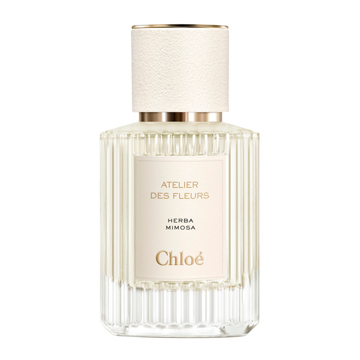 Chloé HERBA Nordstrom | Parfum de Eau Mimosa Herba Fleurs des Atelier Chloé Fleurs des Atelier MIMOSA 香水(女性用)