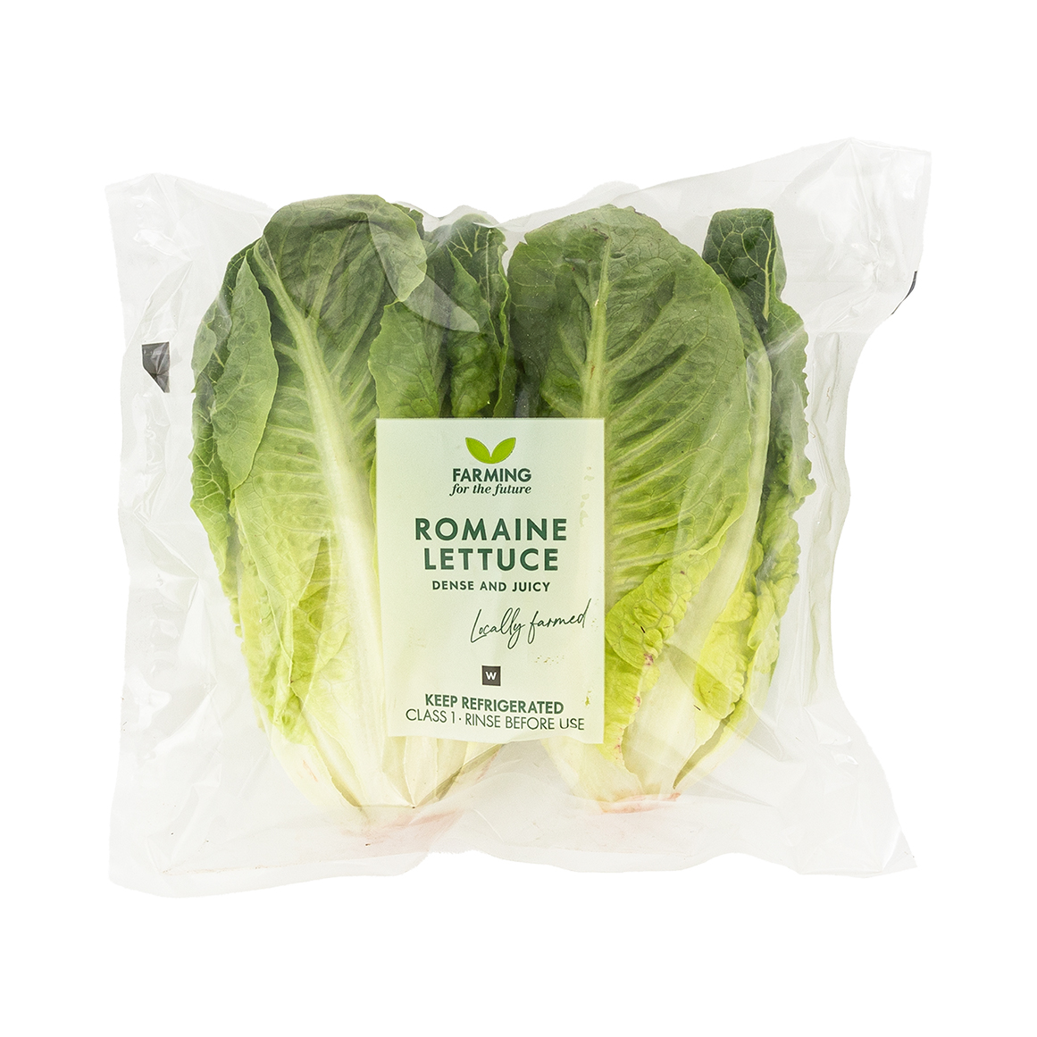 Romaine Lettuce Hearts | Woolworths.co.za
