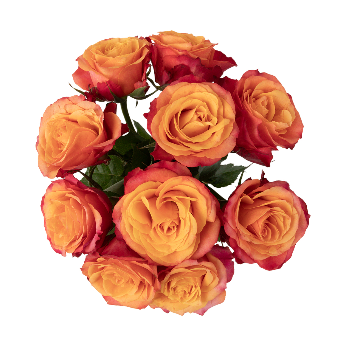 Citrus Basket Speciality Roses | Woolworths.co.za