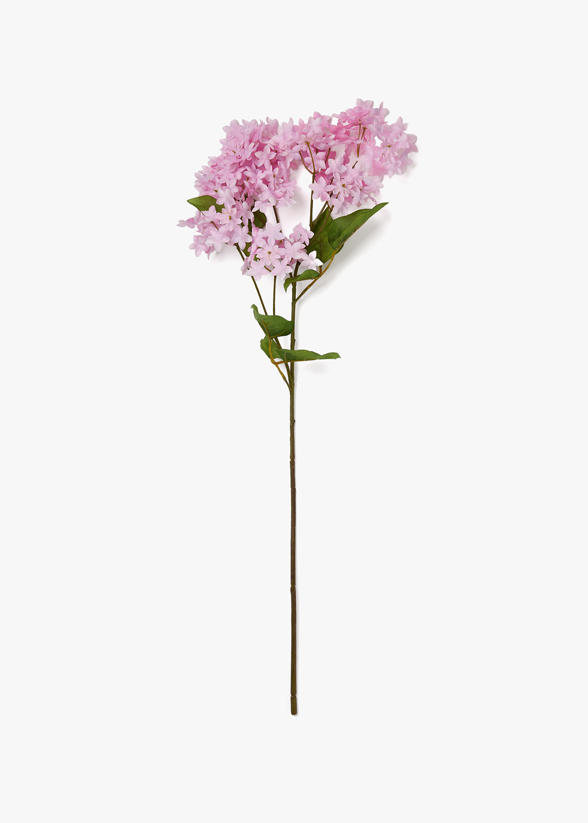 St. Flower Hydrangea | Woolworths.co.za